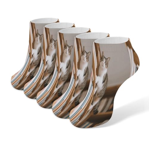 VstaDank Cat on The Bookshelf Ankle Socks 5 Pairs Fashion Invisible Low Cut Sock for Adult Casual Short Sock Soft Cozy No Show Socks
