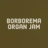  Borborema Organ Jam