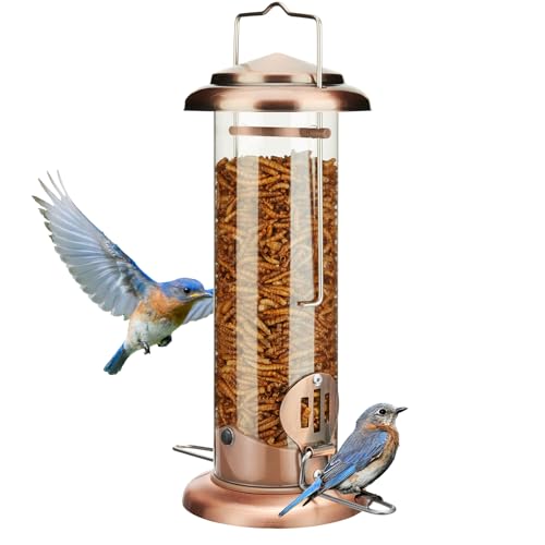 Kingsyard Upgraded Bluebird Feeder for Outdoors Hanging - Metal Mealworm Tube Bird Feeder for Blue Birds Robins Wrens Titmice, Antique Copper