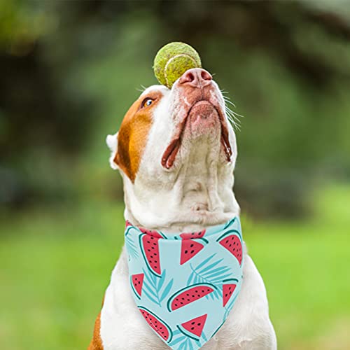 EXPAWLORER Dog Cooling Bandana Set - 4 Pack Hawaiian Dog Bandanas, Pet Summer Essentials Chill Cool Out Triangle Scarf Handkerchief Bib with Cute Fruits Pattern for Small Medium Large Dogs, X-Large by EXPAWLORER - Image 8
