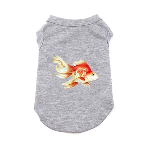 CNJKS �� �� ���� ���̕� �^���N�g�b�v �����₷�� ���Ȃ� �m�[�X���[�u ������ 2XL ������ �t �� �O���[ �t�� �t�� �ĕ� �t�� �ĕ� �j�̎q ������� ���̎q �m�� �y�b�g�� �ʋC �U�� ���o���� �z�� �����y�b�g��