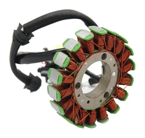 Bobine d'allumage de stator robuste pour Yamaha Raptor 250