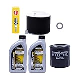 Edwards-Oil-Change-Kit-fits-1993-2000-Kawasaki-Mule-2510-Side-by-Side