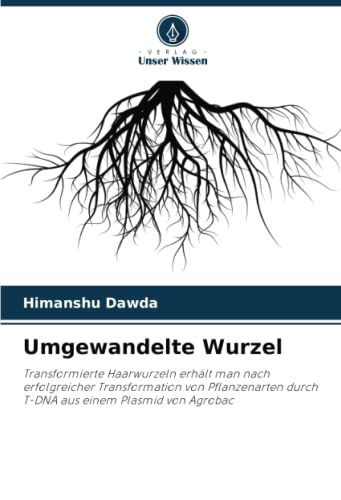 Umgewandelte Wurzel: Transformierte Haarwurzeln erhält man nach erfolgreicher Transformation von Pflanzenarten durch T-DNA aus einem Plasmid von Agrobac