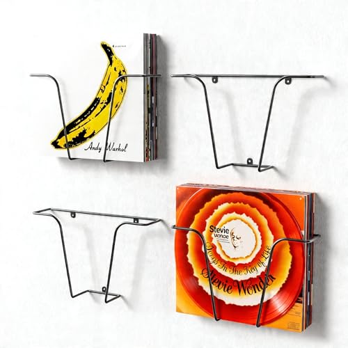 PAPAGIFTREE Vinyl Wall Mount Modern T Shape, Metal Wire Vinyl