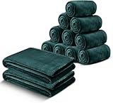 Picture of MOONLIGHT20015 Fleece Blanket Twin Size 12 Pack - Soft Cool Fluffy Throw Blanket for Couch & Sofa, Lightweight Luxury 400 GSM Microfiber Bed Blankets and Throws (Twin 60 x 80 Inches, Emerald)