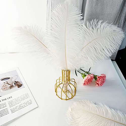 Piokio 20 Pcs White Ostrich Feathers Plumes 10-12 Inch(25-30 Cm) Bulk For Diy Christmas Decorations, Wedding Party Centerpieces, Gatsby Decorations #TOP2