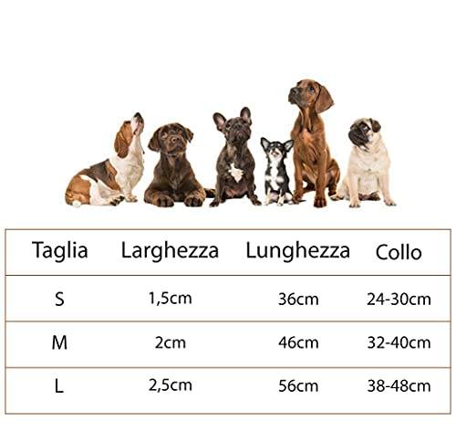 Collare in Vera Pelle per cani di piccola e media