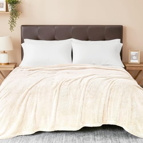 Exclusivo Mezcla Plush Fuzzy Fleece Bed Blanket Queen Size, Super Soft, Fluffy and Warm Blankets,Suitable for All Seasons (Ivory, 90x90 Inches)