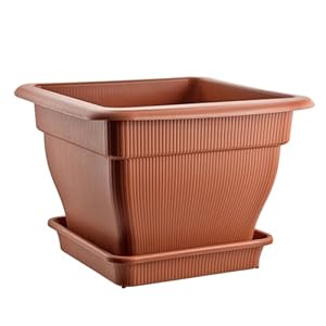 Buri XXL 60 Terrakotta Pflanzkübel mit Untersetzer