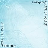  Amalgam