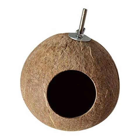 OMEM Bird Coconut House,Coconut Shells can Fixed in Bamboo, Birdcages, Hamster Cages (L) Cover