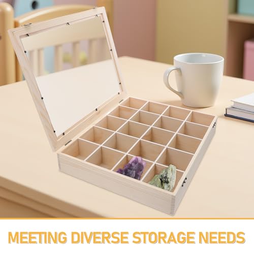 Coffret de rangement polyvalent pour minéraux, cadeau pour passionné