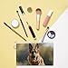 RLDOBOFE Running German Shepherd Dog Coin Purse Small Cash Coin Purse Pouch Mini Canvas Change Purse with Zipper Cute Coin Pouch Fashion Coin Wallet Slim Cash Change Wallet for Cards Keys Lipsticks