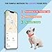 2-in-1 GPS Tracker for Dogs&Cats: Smart Collar with Real-Time Location, No Monthly Fee, Unlimited Range (iOS Only) GPS Tracker Dog Collar- Ideal for Small, Medium Large Dogs(Tracker Included)