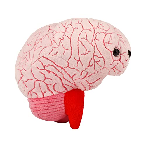 GIANT MICROBES Brain Cell Plush, Neuron Plush, Neuroscience Gift, Neurology, Science Plushies, Neuron Model Anatomy, Psychology Gifts, Psychology Graduation Gifts, Brain, TBI, Mental Health Awareness