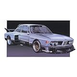 マイクロエース 1/24 オーナーズクラブ '77 BMW 3.5CSL プラモデル No.8