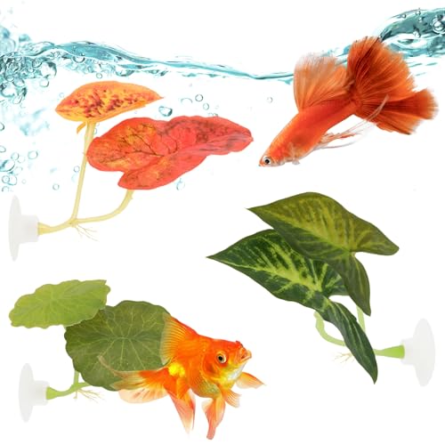3 Stück Betta Fisch Hängematte,Künstliche Aquarienpflanzen mit Saugnapf,Weiches Betta Breeding Resting Bed,Simulation des natürlichen Lebensraums für Bettas Laichplätze,Aquarium Dekoration Pflanz
