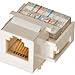 Steren 310-106WH Keystone 6C RJ12 Jack, White