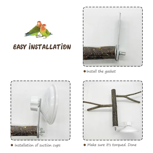 Image of 6 Pack Suction Cup Set for Bird Perches, Suitable for Parrot, Silver, White, ABS Plastic, Metal