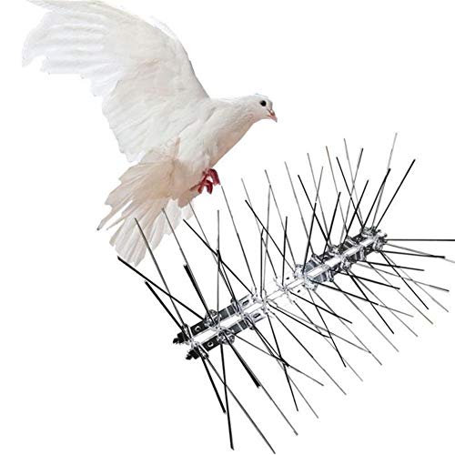 KTSM-Stop-T Expulsor de Aves 25 cm de Acero Inoxidable Bird Spikes Repelente Ecológico de uñas contra la Paloma de Aves de disuasión Herramienta for el búho pequeños pájaros Valla Apto para Granja