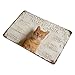 When Visiting My House Please Remember Metal Tin Sign 8x12 Inch Vintage Orange Tabby Cat Funny House Rules Wall Decor Plaque for Home Living Room