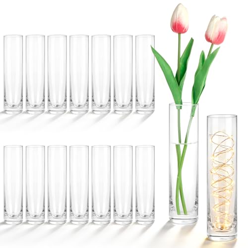 HWASHIN Set of 16 Glass Cylinder Bud Vases for Centerpieces,