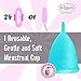 Blossom Menstrual Cup (Double, Blue, Purple)