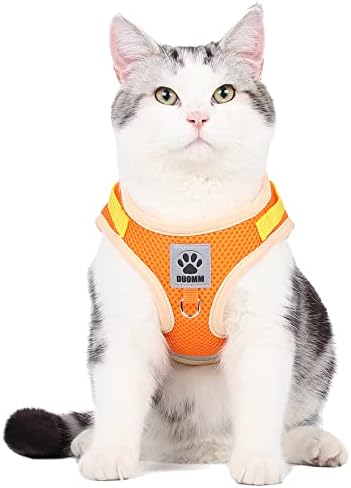 Domkim Escape Proof No Pull Cat Harness and Leash Set for Small Cats/Dogs Walking Outdoor, Easy Control Dog Leash and Collar Set, No Pull Kitten Harness Adjustable(Small, Orange)