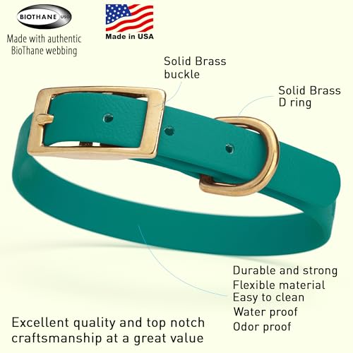 Image of Viper Biothane Heavy Duty Waterproof Dog Collar Strong Coated Nylon Webbing w /Solid Brass Hardware Odor-Proof Easy to Clean High Performance Fits Small Medium or Large Dogs, Blue Aqua