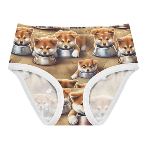 Joisal Cute Akita Inu Puppies Dogs Little Girl Panties Girls Underwear Toddlers Cotton Colorful Briefs Kids Undies 2t
