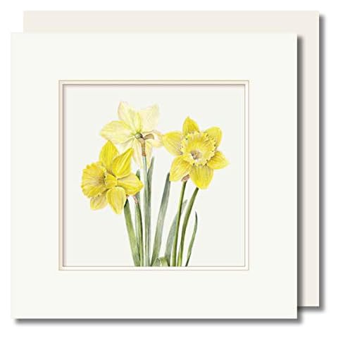 Floral Greeting Card - Daffodils Bunch - Embossed Frame - Blank Inside - Botanical Watercolour - Original Art (Daffodils) Cover
