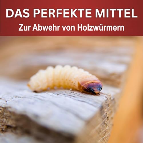 BIODELTA Holzwürmer-Ex Spray - Holzwürmer vertreiben - Holzwurmmittel mit Langzeitschutz - Woodworm treatment - Schluss mit Holzwürmer (500ml) - Indoor & Outdoor geeignet