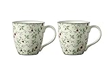 Pfaltzgraff Winterberry Holiday Mugs, 2 Count (Pack of 1), Multicolor
