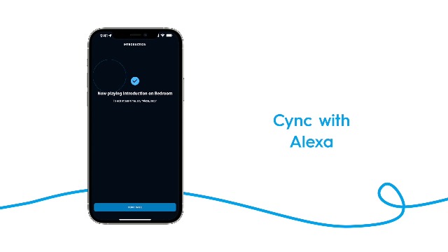 Cync Smart Outdoor Plug