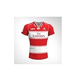 Durable Cheetahs Pro 14 Rugby Home Jersey 2018