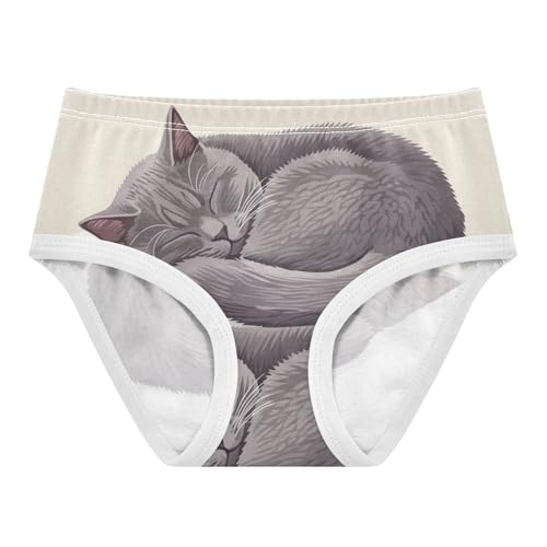 Girls Underwear Toddler 2t Cotton Panties Little Girl Colorful Briefs Undies Kids Gray Cat