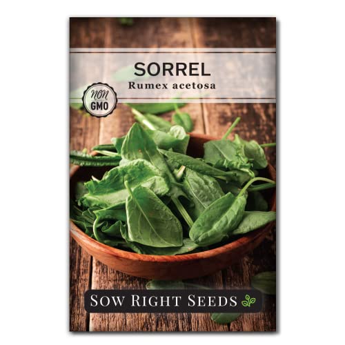 Sow Right Seeds - Sorrel Seeds for Planting - High Yield Heirloom Variety - Non-GMO Garden Greens - Easy to Grow in Home Garden or Containers - Zesty Flavor - Perfect for Salads Soups Sauces (1)