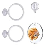 Bmpzery Betta Fish Toys Set - Floating Betta Mirror with Ball & 2 Training Ring Hoop, Interactive Enrichment Toys for Fish Tank Accessories, Agility Exercise Kit to Reduce Boredom
