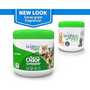 Bright Air Solid Pet Odor Eliminator Cool Citrus Scent 14 Oz Each 6 Pack  Cucciolini Doodles Bright air solid pet odor eliminator cool citrus scent 14 oz each 6 pack   cucciolini doodles