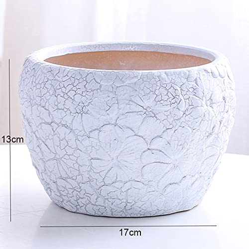 Pot de fleur en céramique craquelée pour éviter l'excès d'eau des cactus - 7