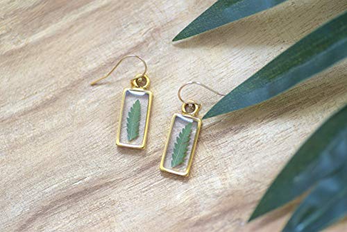 Fern Real Leaf Earrings Floral Handmade Jewelry for Women 14k Gold Filled Ear Wire, 1 inch Drop Length3