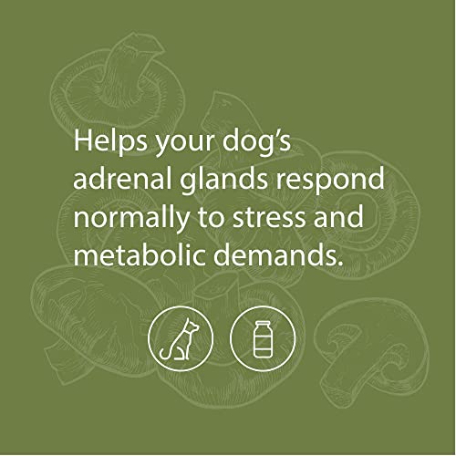 Standard Process - Canine Adrenal Support - Stress Support For Dogs - 100 Grams #TOP2