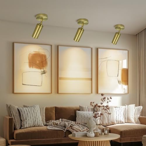 Brass Ceiling Spotlight, Hardwired LED Ceiling Spot Lights, Flush Mounted Directional Ceiling Light, Indoor Spotlight Fixtures, Adjustable Monopoint Spot Lights for Living Room Dining Room