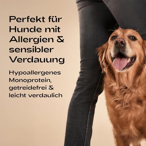 MOOLITO Insect Vital (10 kg) – Hundefutter trocken, Getreidefrei mit Insektenprotein – hypoallergenes Hundetrockenfutter für empfindliche, ausgewachsene Hunde – nachhaltiges Alleinfuttermittel
