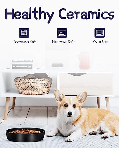 Floatant Slow Feeder Dog Bowls Medium Large Breed Ceramic, 7.6 In Dog Slow Feeder Bowl For Fast Eaters, Non Slip Slow Eating Dog Bowl For Dry And Wet Food, Puzzle Dog Food Bowl, Black #TOP4
