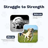 Daddy Paw Dog Joint Supplements for Senior Dogs Glucosamine for Dogs & Chondroitin with Green Lipped Mussel & MSM – Supports Stiff Joints, Mobility & Pain Relief for Dogs in Older Age - Image 2