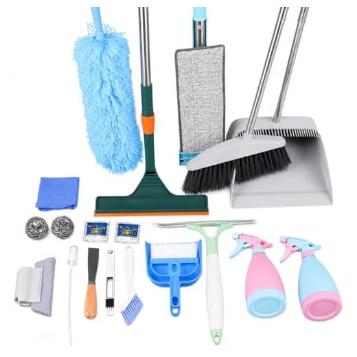 Complete Mop and Bucket Cleaning Set