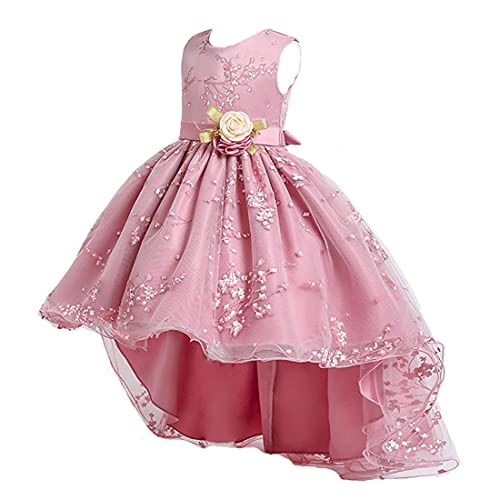 [OWIEOW] LbY hX tH[} ̎q hX O 傫ȃ{ sAm\ t  ܎O(2/sN 160)