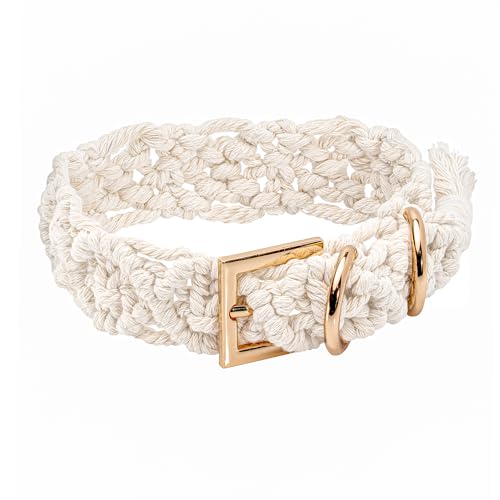 Handmade Macramé Dog Collar – Elegant Braided Cotton Gold